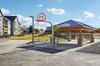 The basketball court